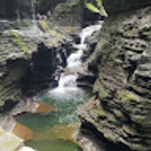 Meet your Posher, Tammy